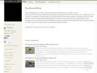 Canil Canil Enchantress